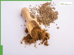 Exploring The Benefits: Can Ajwain And Jeera Be Combined In Your Diet?