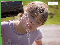 Children's Overall Health And Well-Being: Why Kids Need To Drink Plenty Of Water Every Day