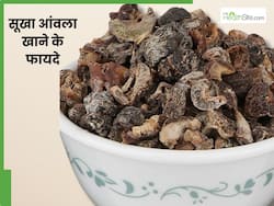 Dried Amla Benefits: सूखा आंवला खाने से मिलेंगे ये 5 फायदे, कब्ज की समस्या होगी दूर और त्वचा का बढ़ेगा निखार
