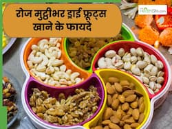 रोज की डाइट में जरूर शामिल करें मुट्ठीभर ड्राई फ्रूट्स, सेहत को मिलेंगे ये 5 फायदे