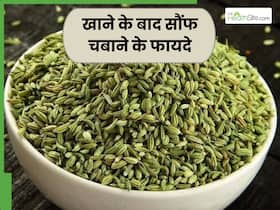 खाना खाने के बाद सौंफ चबाने से सेहत को मिलेंगे ये 5 फायदे, पाचन बनेगा बेहतर और दूर होंगी कई समस्याएं खाना खाने के बाद सौंफ चबाने से सेहत को मिलेंगे ये 5 फायदे, पाचन बनेगा बेहतर और दूर होंगी कई समस्याएं