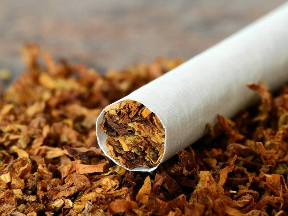 सबसे ज्यादा खतरनाक हैं ये 5 प्रकार की सिगरेट, Smokers आज ही लगा लें पता नहीं तो हो जाएंगे Lung Damage