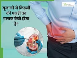 यूनानी में कैसे किया जाता है किडनी में पथरी का इलाज? जानें कौन-सी जड़ी-बूटियां होती हैं रामबाण
