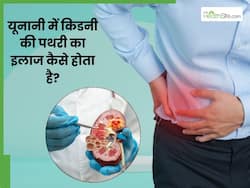 यूनानी में कैसे किया जाता है किडनी में पथरी का इलाज? जानें कौन-सी जड़ी-बूटियां होती हैं रामबाण