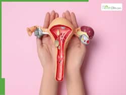 4 Key Tips For Reducing Cervical Cancer Risk