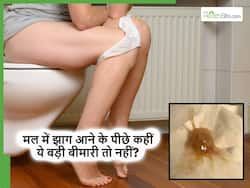 पॉटी में झाग या बलगम आना इन 5 बीमारियों का हो सकता है संकेत, जानिए कब और क्यों आता है झागदार मल