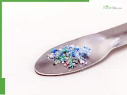 Have Nanoplastics Made It To Our Brain? Here's What Scientists Have Found...