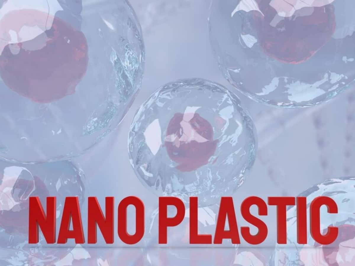 microplastics, Nanoplastics, plastic pollution, new study, new research, new research on nanoplastic, new study on nanoplastic, new study on microplastic, new research on microplastic, nanoplastic exposure, nanoplastic in the brain, human health effects of nanoplastic exposure, microplastic pollution, plastic pollution and environmental health, human health effects of nanoplastics, microplastic shards in the brain, microplastic pollution, nanoplastic sources, reducing nanoplastic exposure