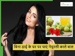 मेहंदी छोड़िए इन 4 नैचुरल चीजों से करें अपने बालों को काला, कोई बता भी नहीं पाएगा पहले सफेद होते थे आपके बाल