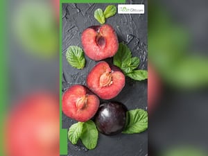 6 Health Benefits Of Plums That Make It A Superfood