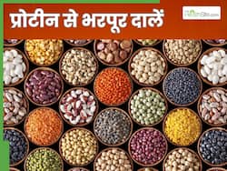 इन दालों में होता है चिकन-मटन से भी ज्यादा प्रोटीन, वेजिटेरियन लोग जरूर करें डाइट में शामिल