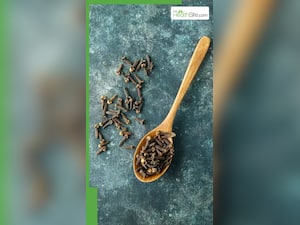 भुनी हुई लौंग खाने के 7 फायदे