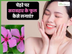 चेहरे पर इन 5 तरीकों से लगाएं सदाबहार के फूल, दाग-धब्बे हो जाएंगे गायब और आएगा गुलाबी निखार