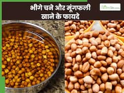 भीगे चने और मूंगफली खाने से मिलेंगे ये 4 फायदे, डाइट में इस तरह करें शामिल