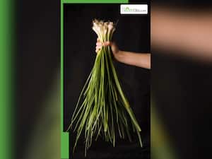 Unlocking 7 Powerful Health Benefits Of Spring Onions