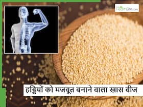 हड्डियों को फौलादी बनाने के साथ-साथ कई फायदे देगा ये खास बीज, बस सबसे पहले जान लें सेवन का सही तरीका