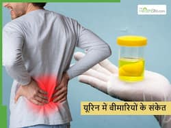 सुबह उठते ही बाथरूम में दिखें ऐसे बदलाव तो हो सकते हैं शरीर के अंदर छुपी इन 5 बीमारियों का संकेत, ऐसे लगाएं पता