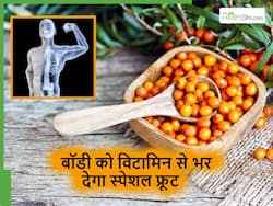 विटामिन के मामले में आंवला भी इस फल के आगे फेल, आप भी खाएंगे तो उम्र के बाद भी नहीं आएगा बुढ़ापा
