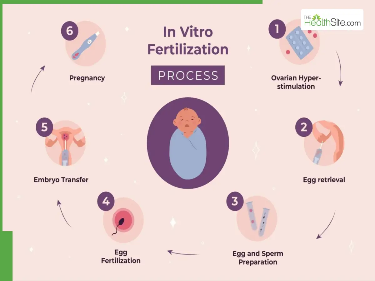 IVF: Promoting Ideal Conditions For Implantation And Fetal Growth