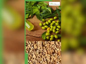 क्या है नीम की गुठली जो कई बीमारियों को जड़ से खत्म करती है?