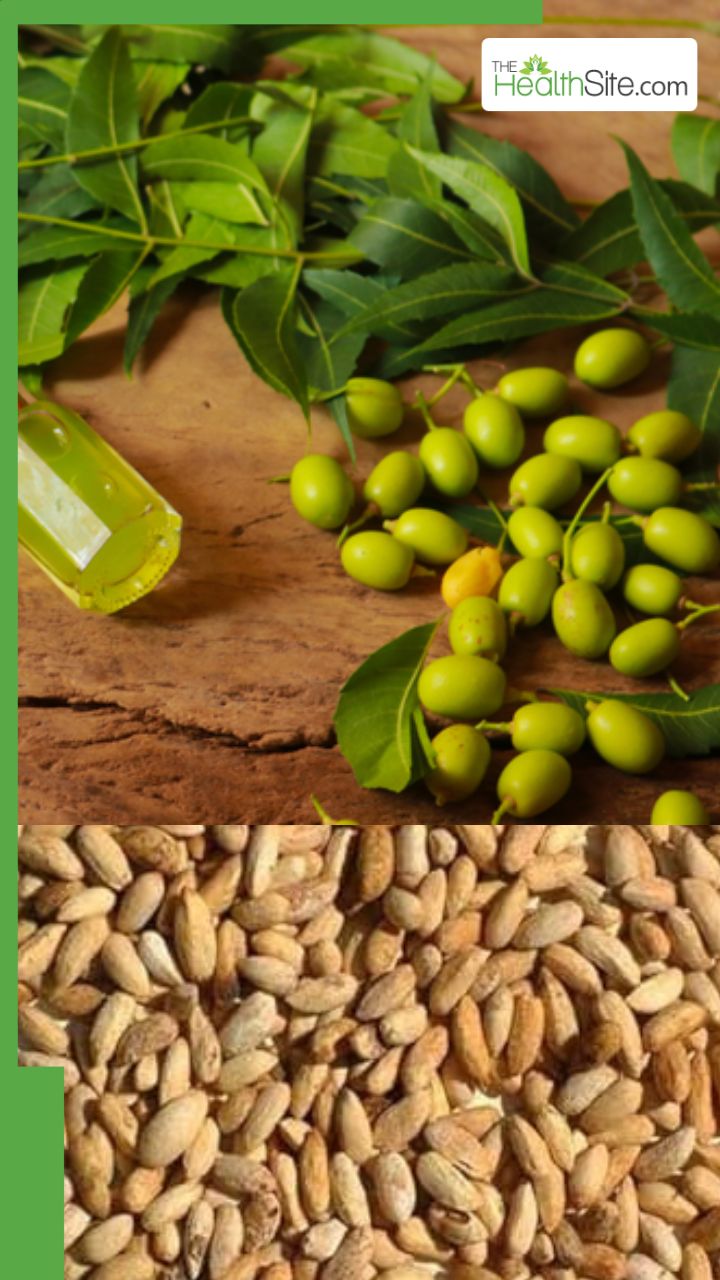 क्या है नीम की गुठली जो कई बीमारियों को जड़ से खत्म करती है?