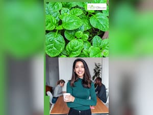 पोई का साग खाने से कौन सी बीमारी दूर होती है?