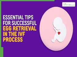 3 Essential Tips For A Successful IVF Journey
