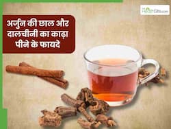 30 दिन अर्जुन की छाल और दालचीनी का काढ़ा पीने से क्या होगा? जानिए शरीर में दिखने वाले बदलाव