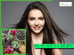 अच्छी हेयर ग्रोथ के लिए खाएं ये 4 फूड्स, एक्सपर्ट देते हैं सलाह