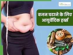 वजन घटाने में कारगर हैं ये 5 आयुर्वेदिक जड़ी-बूटियां, एक्सपर्ट से जानें सेवन का तरीका
