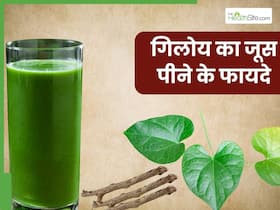 रोजाना गिलोय का जूस पीने से दूर होंगी ये 5 समस्याएं, इस तरह करें घर पर तैयार