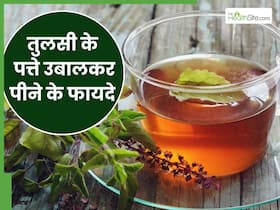सुबह पानी में तुलसी की पत्तियां उबालकर पीने से मिलेंगे ये 5 जबरदस्त फायदे, जानें सेवन का सही तरीका