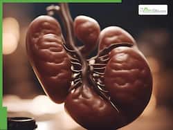 World Kidney Day 2025: 5 Key Things To Know About Chronic Kidney Disease