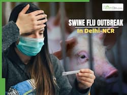 Delhi Battles Worst Swine Flu Outbreak In Years: 54% Households Report Severe COVID-Like Symptoms, Viral Fever