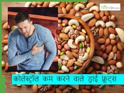 नसों में जमा LDL कोलेस्ट्रॉल होगा मिनटों में साफ, बस दिन में 1 बार खाएं ये 5 हेल्दी फूड्स