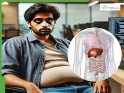 Fatty Liver Disease in India: 84% of IT Employees Affected: Early Warning Signs in Your 30s, And Natural Ways Reverse It