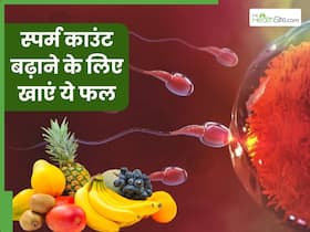 शुक्राणु बढ़ाने के लिए कौन सा फल खाना चाहिए? जानिए ऐसे 5 फल, जिन्हें खाने से बढ़ता है स्पर्म काउंट शुक्राणु बढ़ाने के लिए कौन सा फल खाना चाहिए? जानिए ऐसे 5 फल, जिन्हें खाने से बढ़ता है स्पर्म काउंट