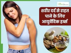 शरीर के दर्द से तुरंत राहत दिला सकती हैं ये 4 आयुर्वेदिक जड़ी-बूटियां, नहीं पड़ेगी पेन किलर की जरूरत