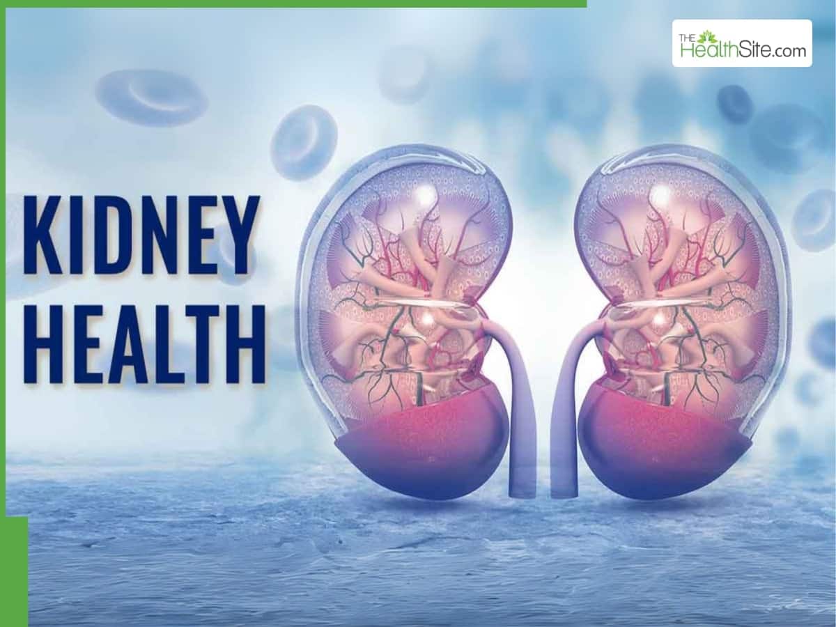 How to prevent chronic kidney diseases: advice for healthy life