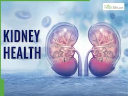 How To Prevent Chronic Kidney Disease: Tips For A Healthy Life