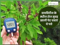 डायबिटीज के मरीज रोज सुबह खाली पेट चबाएं ये 5 तरह के पत्ते, पूरे दिन कंट्रोल रहेगा ब्लड शुगर लेवल