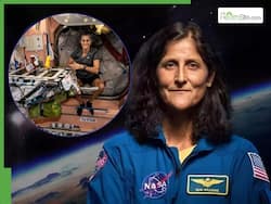 NASA Astronaut Sunita Williams' 9 Months in Space: How She Managed To Stay Fit In Microgravity - Latest Photos From ISS