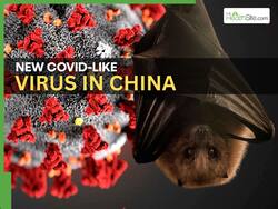 New China Virus Sparks Global Concern: Wuhan Lab Scientists Warn of COVID-Like Pandemic Threat In The Upcoming Days