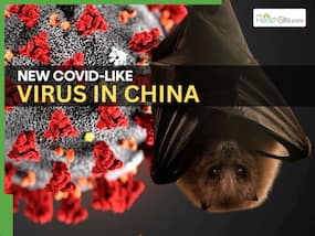 New China Virus Sparks Global Concern: Wuhan Lab Scientists Warn of COVID-Like Pandemic Threat In The Upcoming Days
