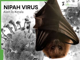 Nipah Virus Alert in Kerala: State Issues New Precautionary Measures Ahead of Bat Breeding Season     All You Need to Know
