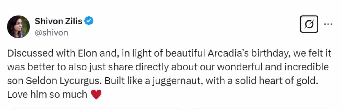 Elon Musk, Elon Musk Love Life, Elon Musk Relationship, parenting, Elon Musk news, Elon Musk children, Elon Musk kids, Elon Musk partners, Elon Musk wife, Elon Musk fatherhood, Elon Musk children count, Elon Musk latest news, Elon Musk and Donald Trump