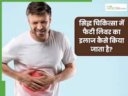 सिद्ध चिकित्सा में संभव है फैटी लिवर का इलाज, ये जड़ी-बूटियां साबित होंगी कारगर