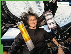 Sunita Williams Live Updates: From Growing Lettuce to Spacewalks     How the NASA Astronaut Spent 286 Days in Microgravity