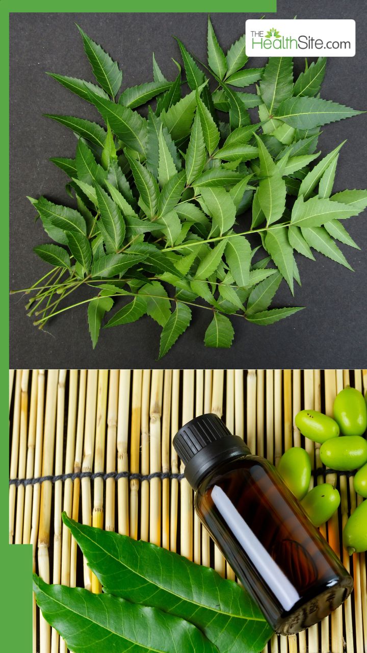 नीम की पत्ती चबाने से कौन सी बीमारी सही होती है?