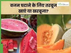 तरबूज या खरबूजा, गर्मियों में वजन घटाने के लिए क्या है बेहतर? जानिए डायटीशियन से